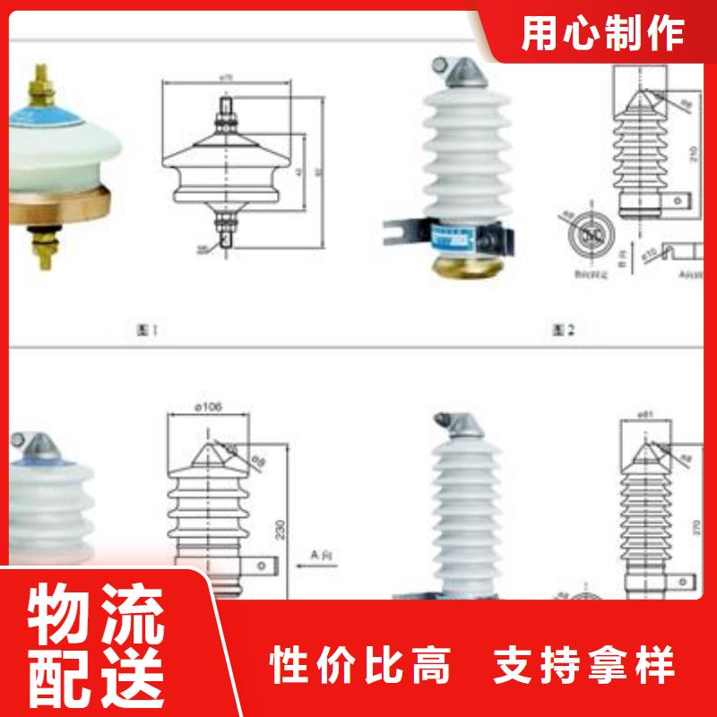 TBP-A-42F/310过电压保护器