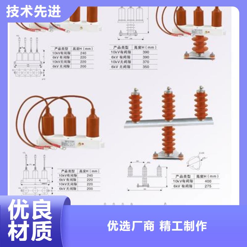 TBP-A-42F/310过电压保护器