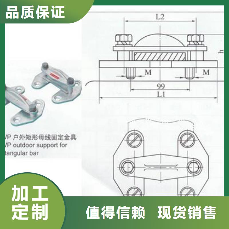 MGT-130母线夹具樊高