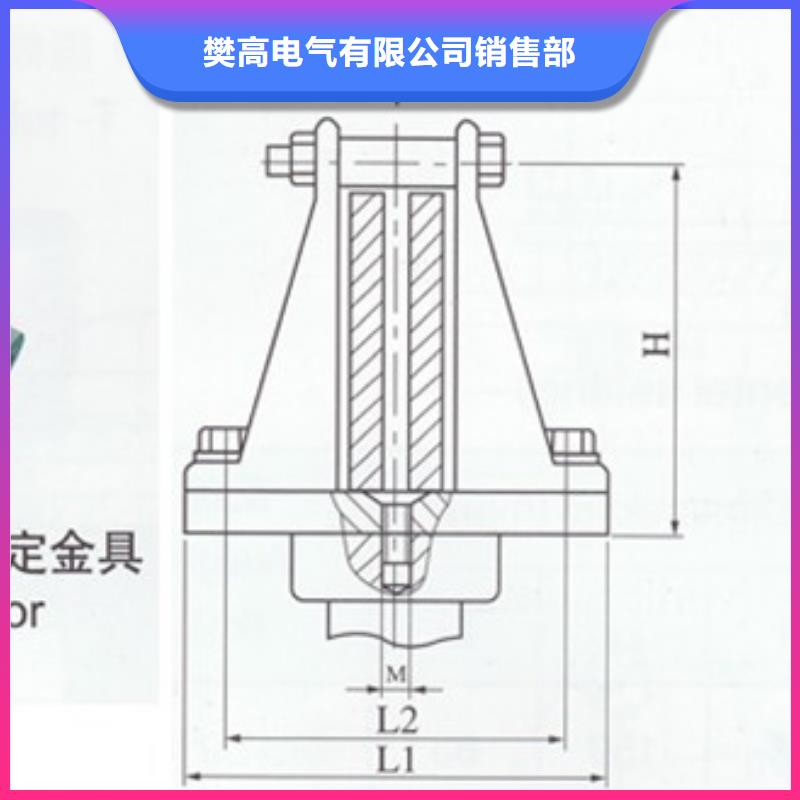 TMY-3*20母线樊高