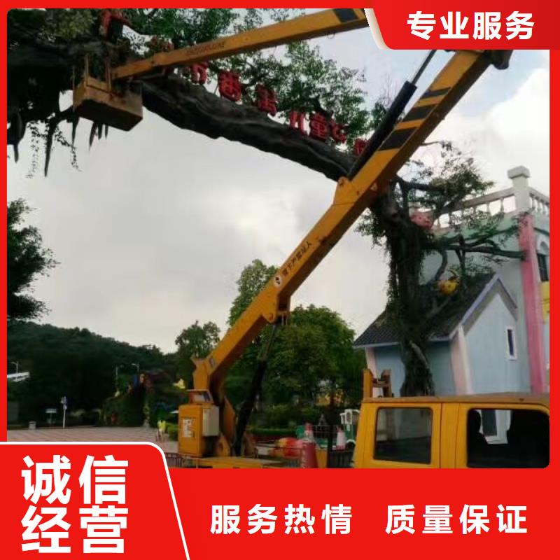 都区大吊车出租视频-仪征|宝应|盐城|镇江|泰州|连云港|南京|宿迁都区大吊车出租值得信赖-叶工机械设备租赁(扬州市分公司)