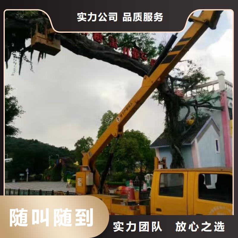 都区大吊车出租视频-吉林省四平市叶工都区大吊车出租可服务区域公主岭|双辽|辽源|长春|延边|吉林|通化等