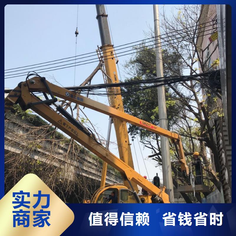 都区大吊车出租视频-仪征|宝应|盐城|镇江|泰州|连云港|南京|宿迁都区大吊车出租值得信赖-叶工机械设备租赁(扬州市分公司)