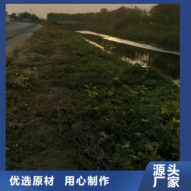 污泥处理沙土固化剂品质好才是硬道理