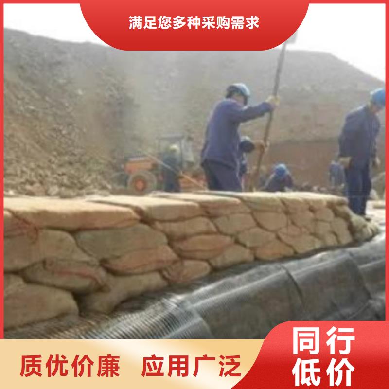 单向塑料格栅膨润土防水毯满足客户需求