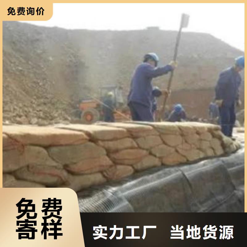 单向塑料格栅塑料土工格栅源厂定制