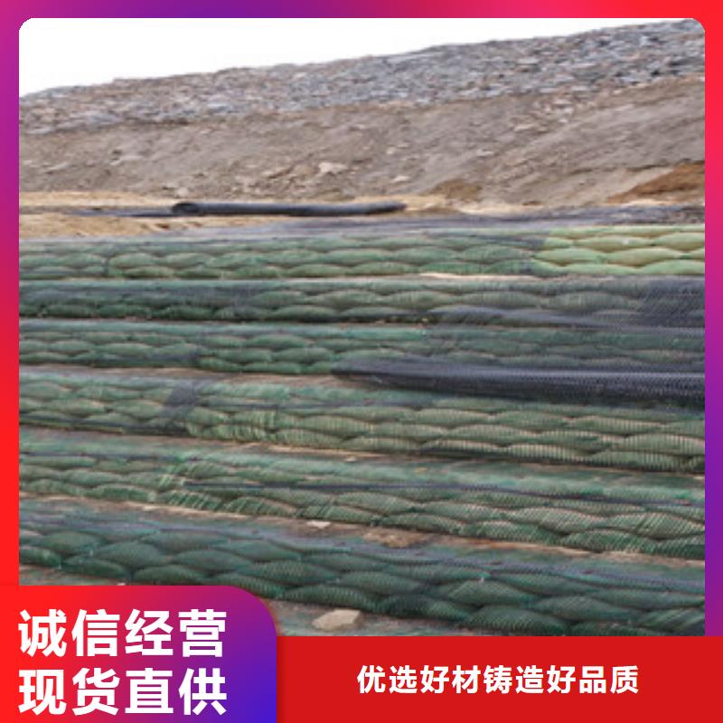 单向塑料格栅膨润土防水毯质量检测