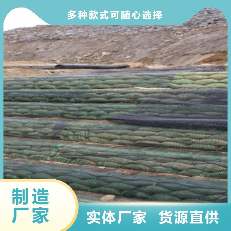 单向塑料格栅三维植被网规格型号全