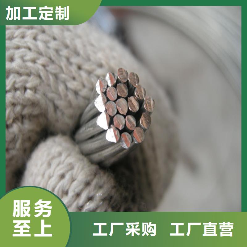 镀锡铜绞线进场检验标准售后无忧一米多少钱
