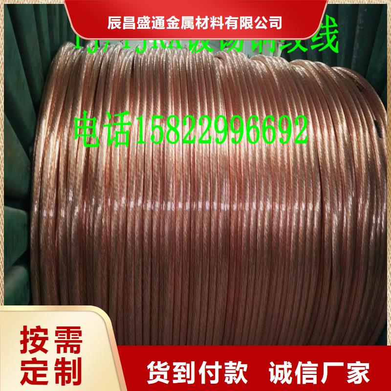 乐东县铜绞线和铜线的区别推荐货源一米多少钱