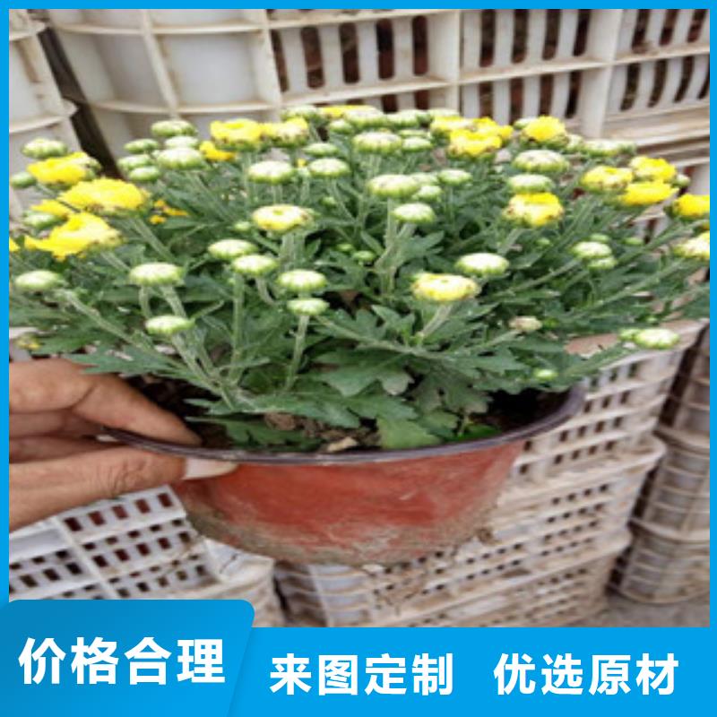 【花海景观】花海景观工程实体厂家支持定制