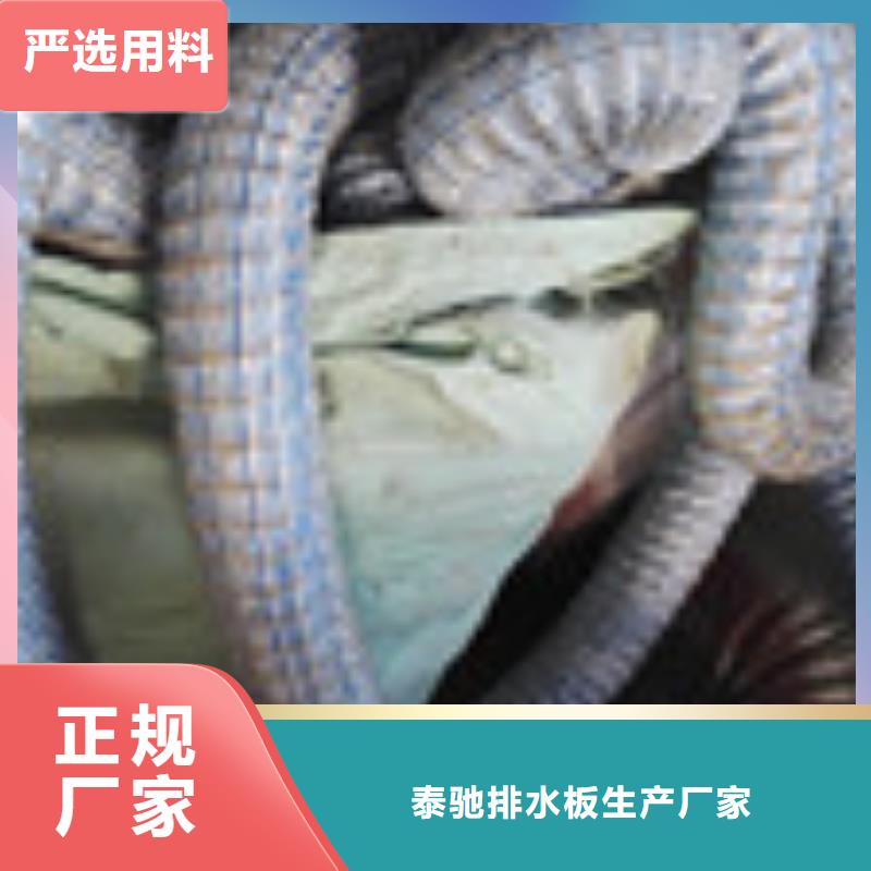 【企业旺旺】-土工席垫品质保障售后无忧|-泰驰排水板生产厂家(文山市分公司)