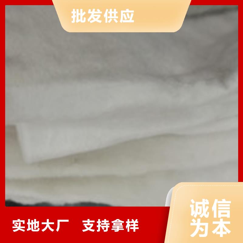 {泰驰}【 企业旺旺,聚丙烯纤维专业供货品质管控】s968.com