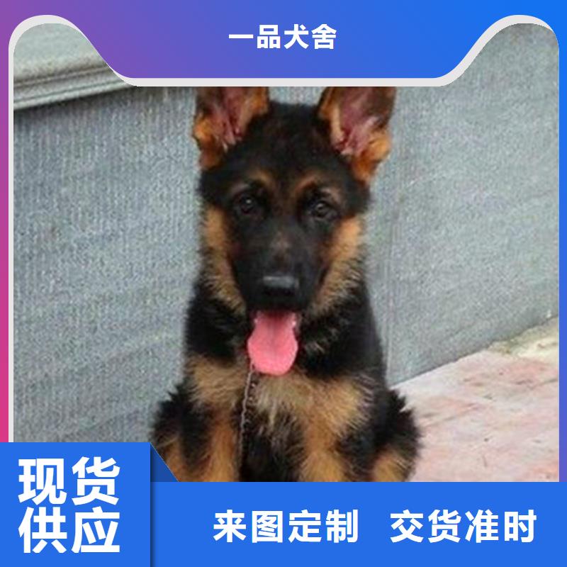 德国牧羊犬-罗威纳犬一站式采购商家