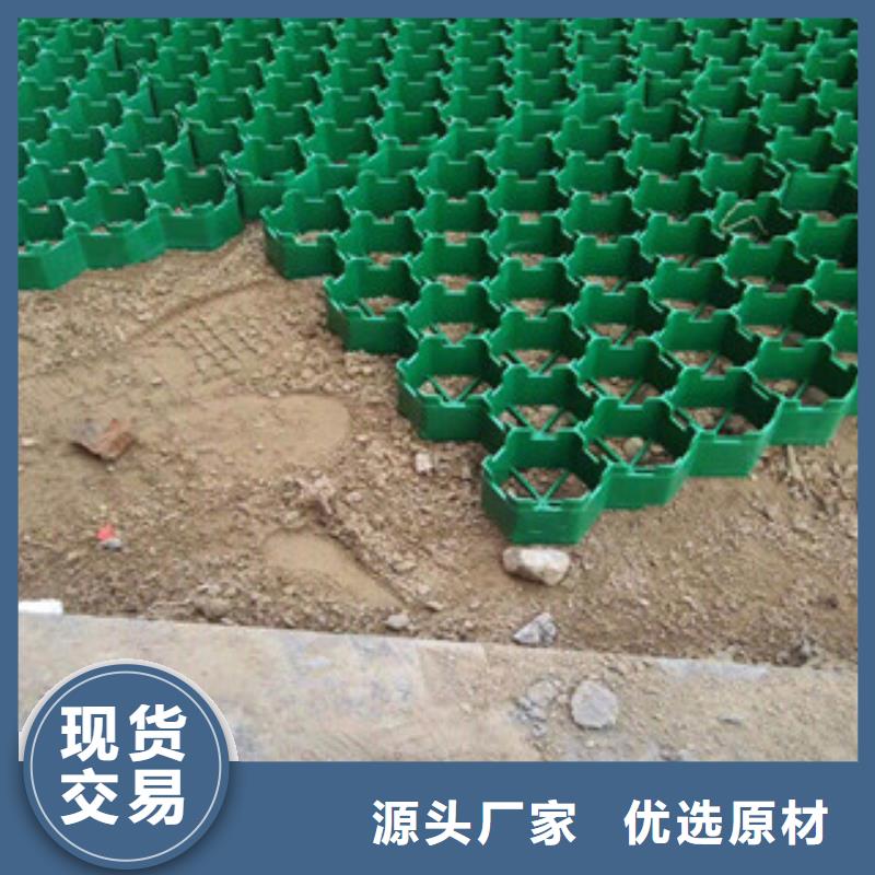 环保植草格土工膜厂家质量层层把关