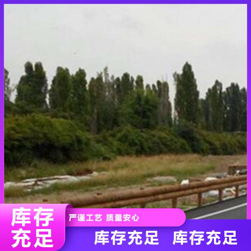 钢背木护栏桥梁防撞护栏产地货源