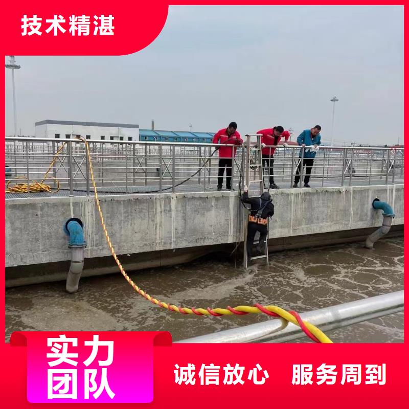 买三明将乐水下摄影必看-厂家直销
