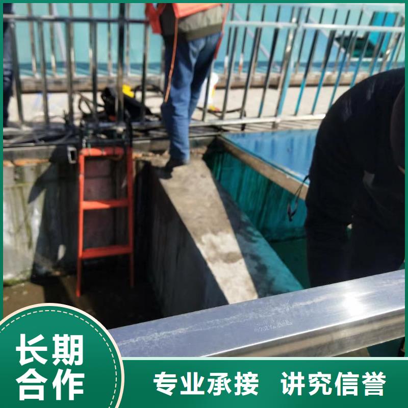 买三明将乐水下摄影必看-厂家直销