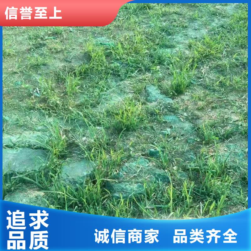臭氧去除剂精益求精
