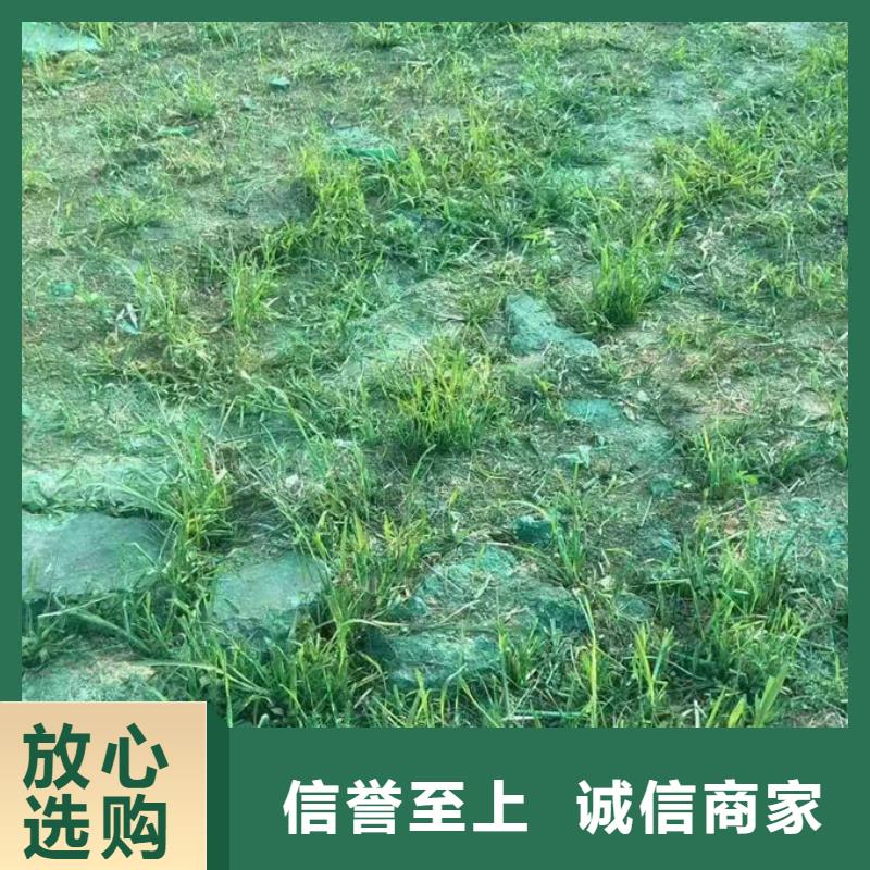运煤火车结壳抑尘剂来电咨询