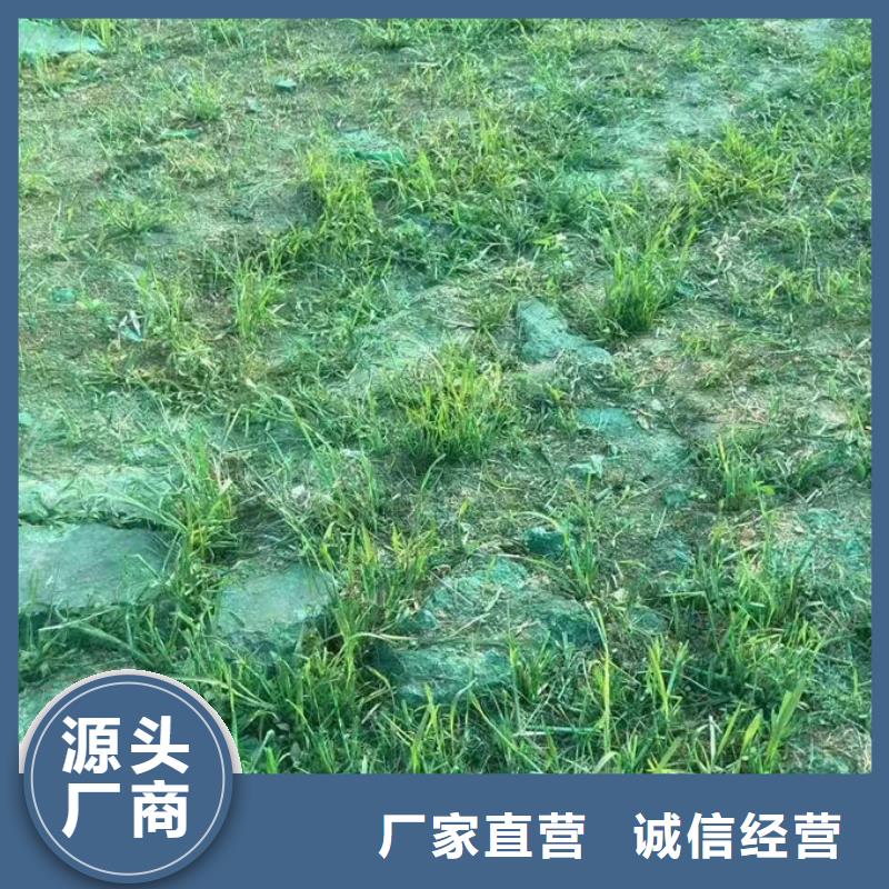 生物酶治理抑尘剂溶液当地厂家值得信赖