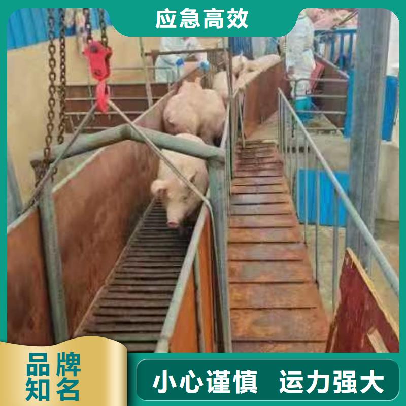 宿迁到猪笼车运输合理