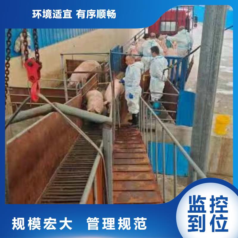 宿迁到农牧运输管理规范