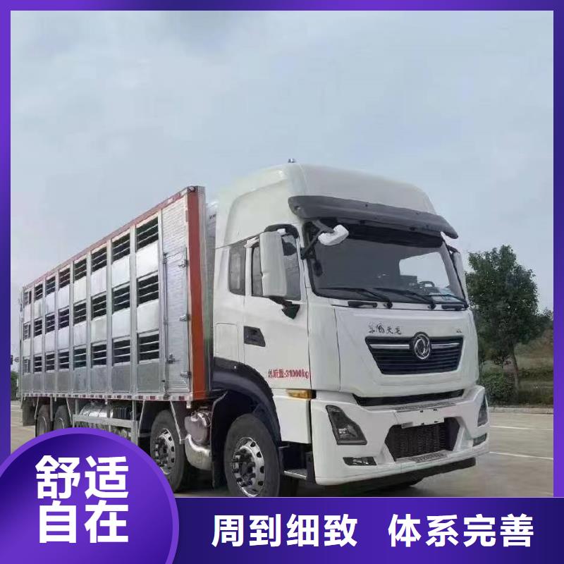 宿迁到猪牛羊运输