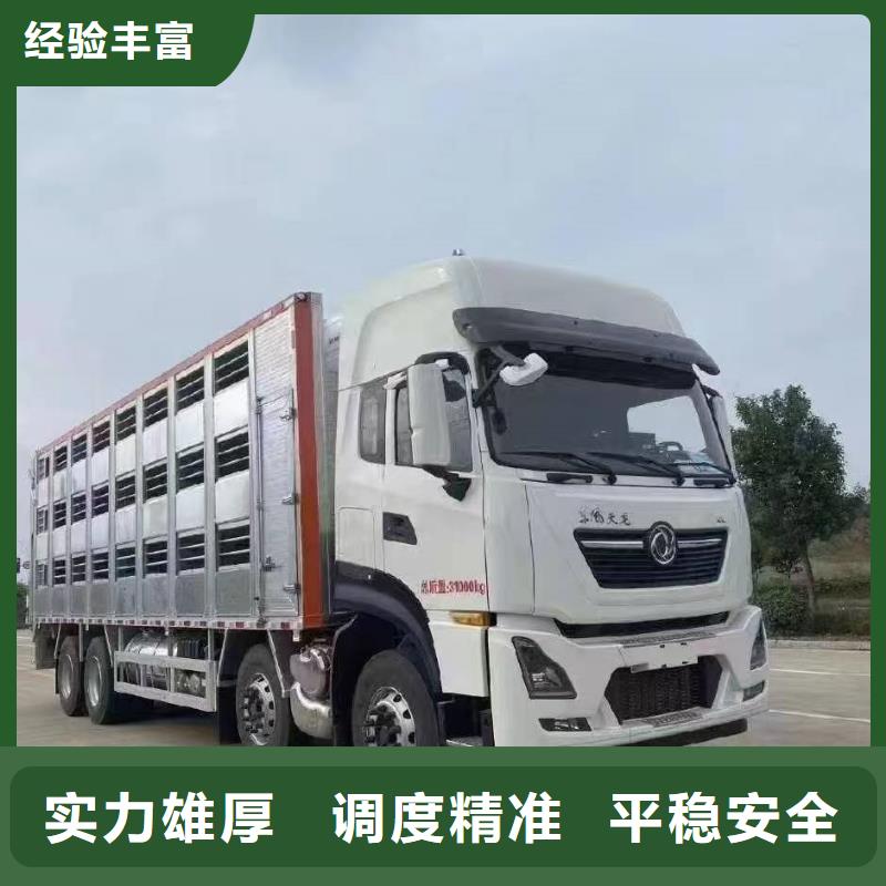 泗洪到生猪空调车运输路线优化