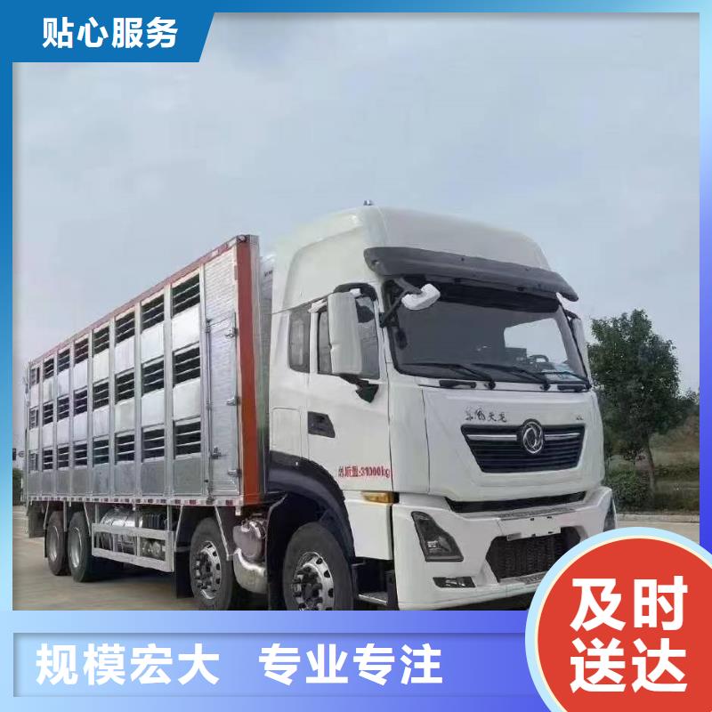 郑州到原料运输专业专注