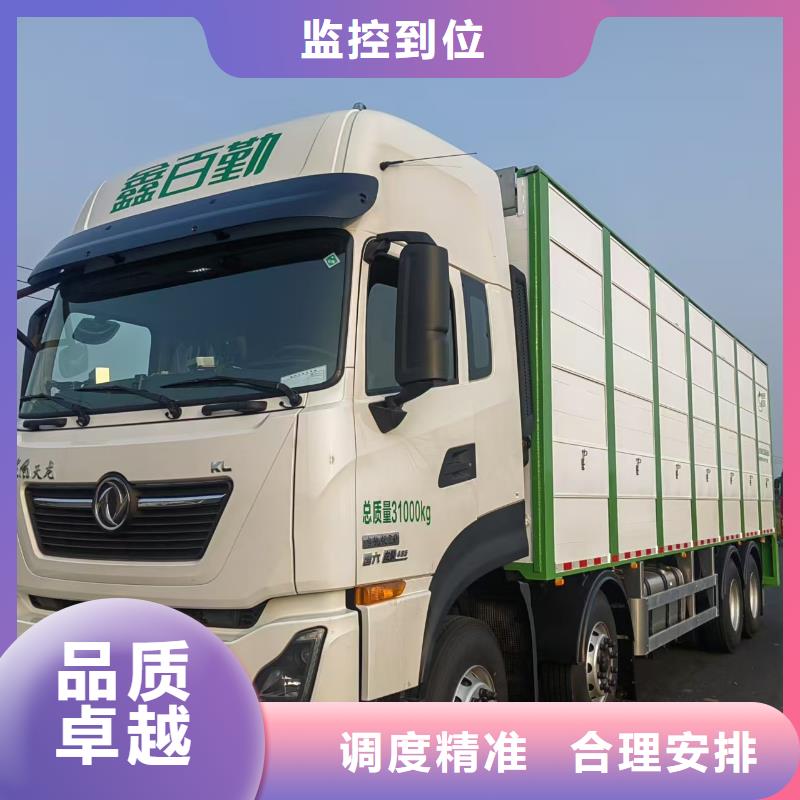 宿迁到牲畜运输品质卓越