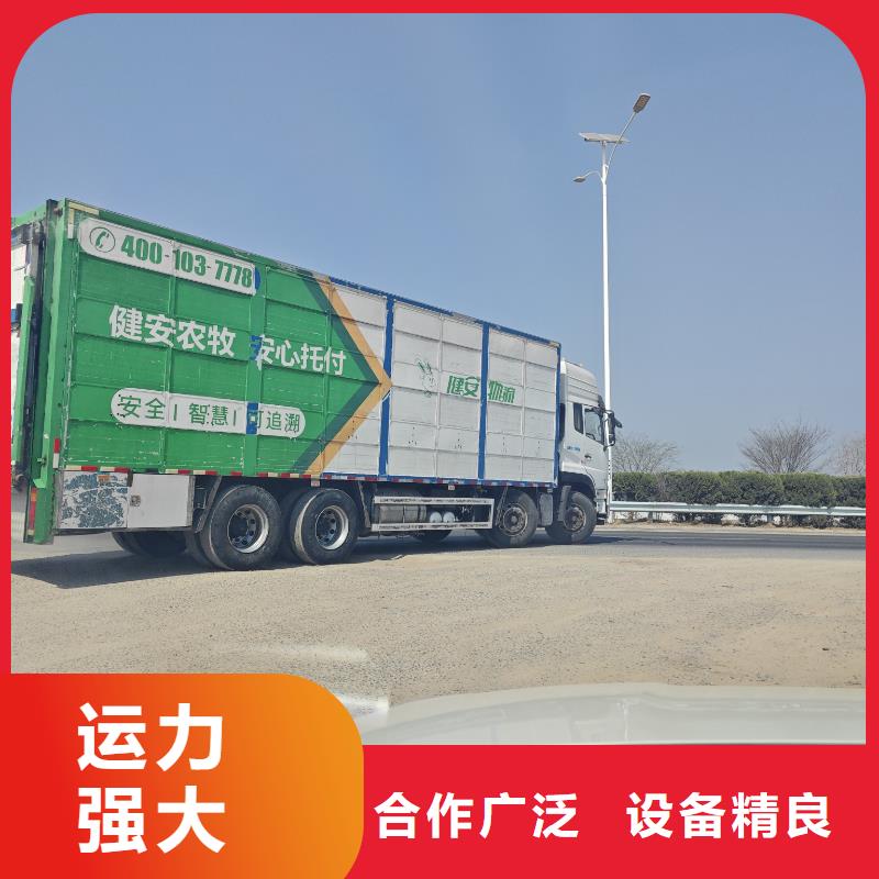 青岛到空调车运输平稳