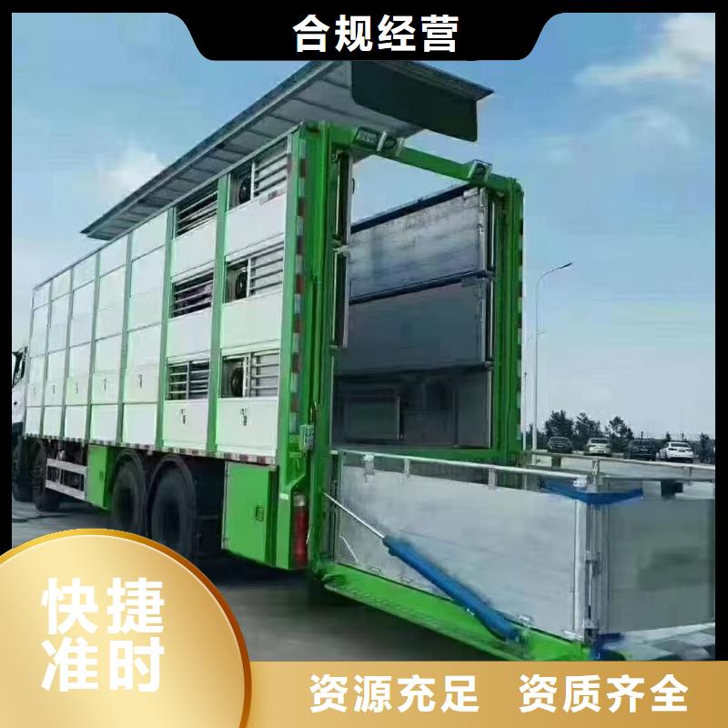 宿迁市泗阳到仔猪恒温车运输品牌知名