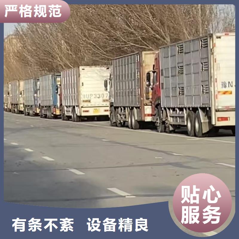 宿迁市泗阳到仔猪恒温车运输品牌知名
