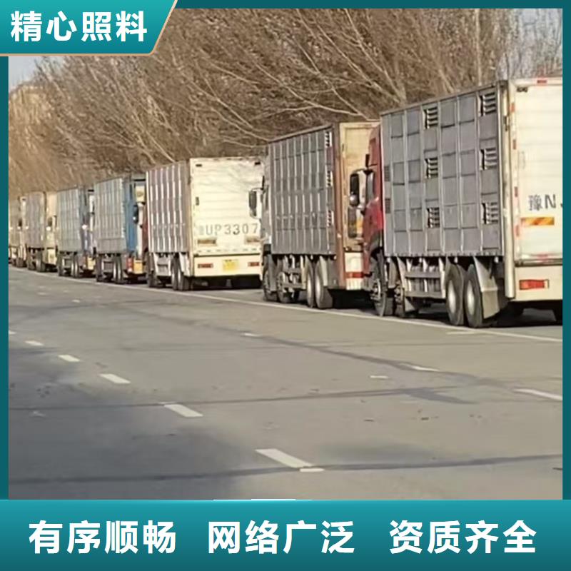 郑州到原料运输专业专注