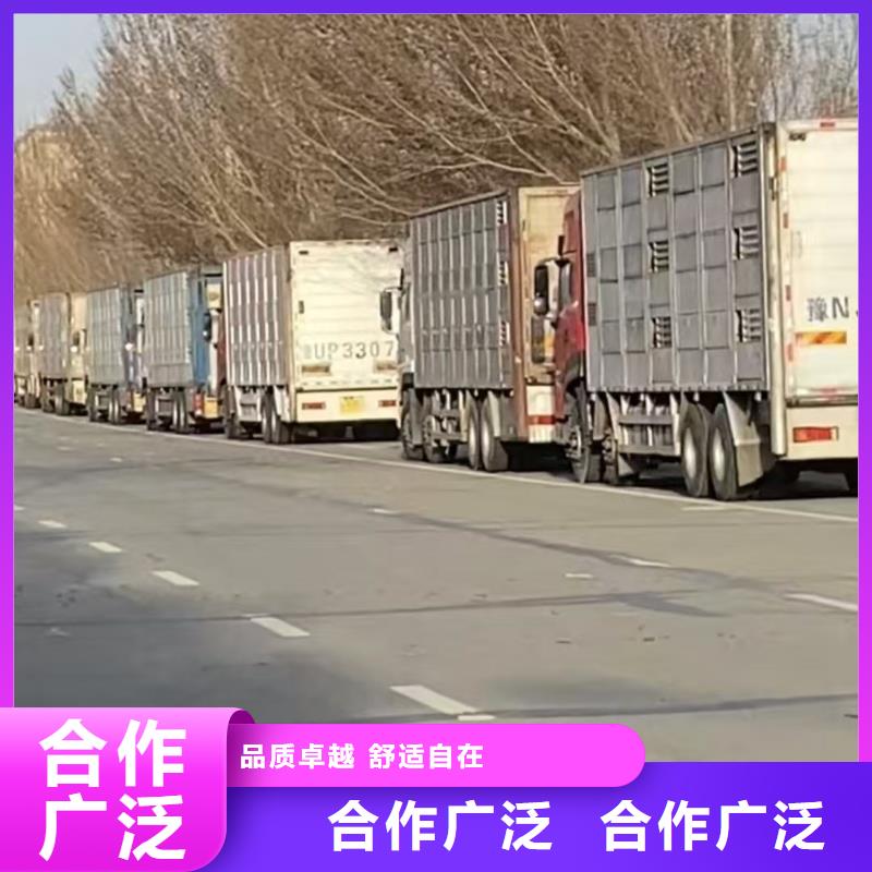 泗洪到生猪空调车运输路线优化