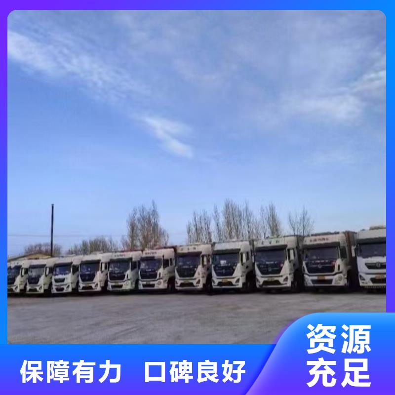 滨州到畜禽运输全程呵护