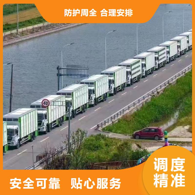 绍兴到猪只运输专用车管理规范