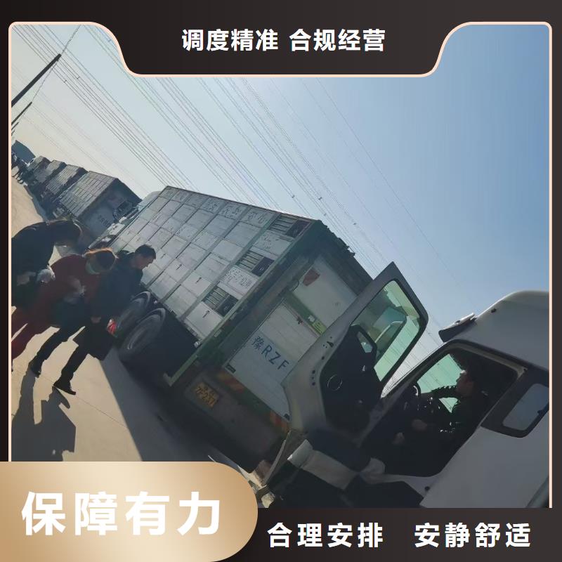 宿迁到生猪空调车运输全程护航