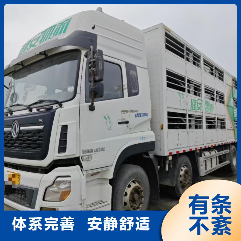德州到散装料专用车精心照料