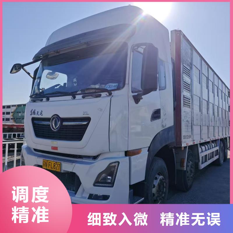 宿迁泗阳到羊运输专用车