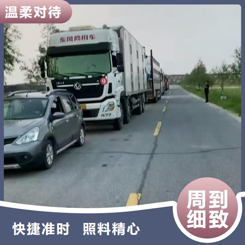 宿迁到猪牛羊运输