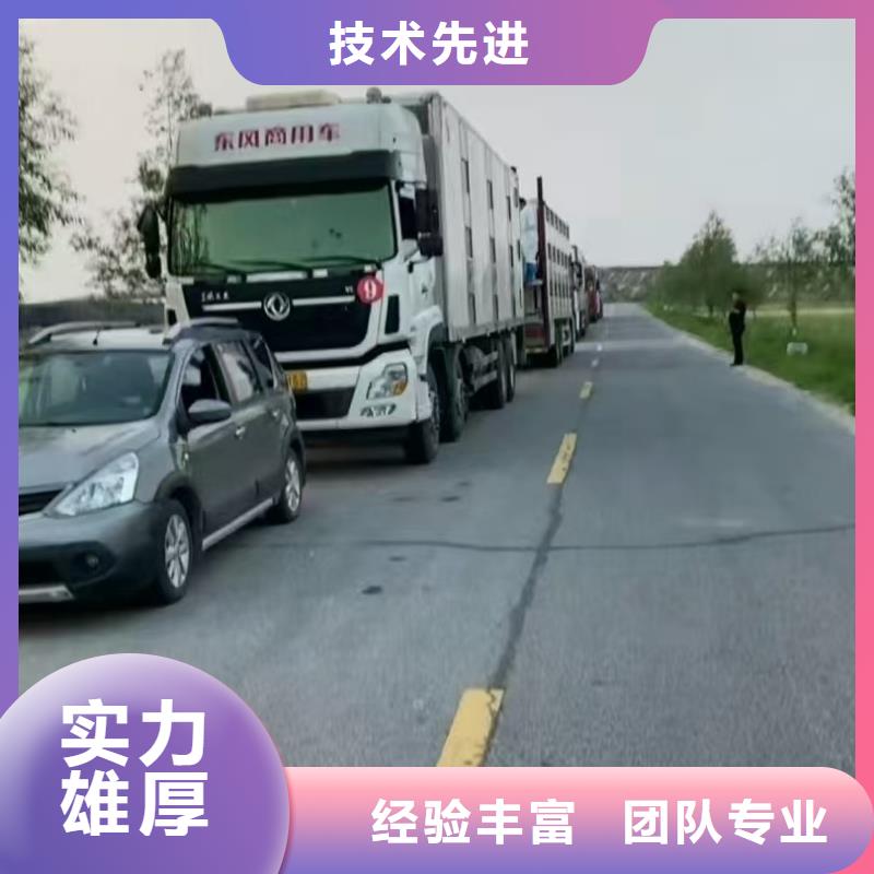 宿迁到猪只贸易专业专注