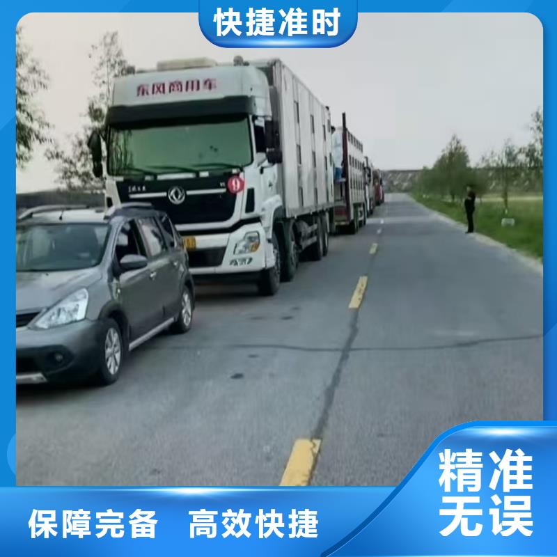 宿州到种猪恒温车运输顺畅
