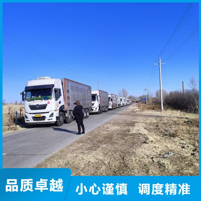 宿迁到散装料专用车老牌物流公司