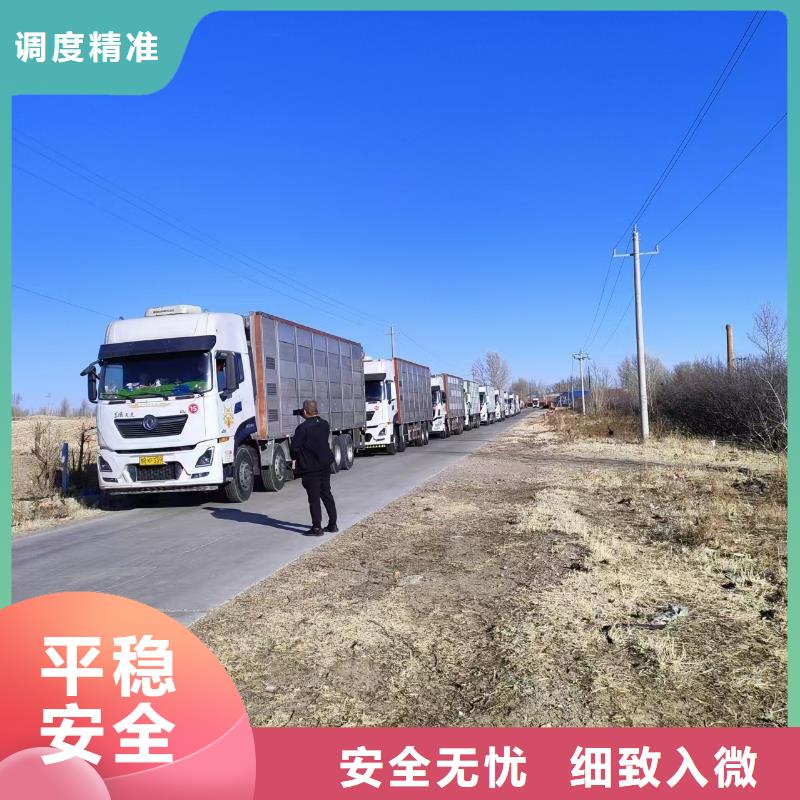 绍兴到猪只运输专用车管理规范