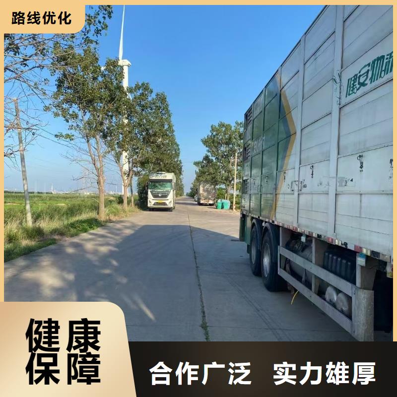 连云港到活禽运输合作广泛