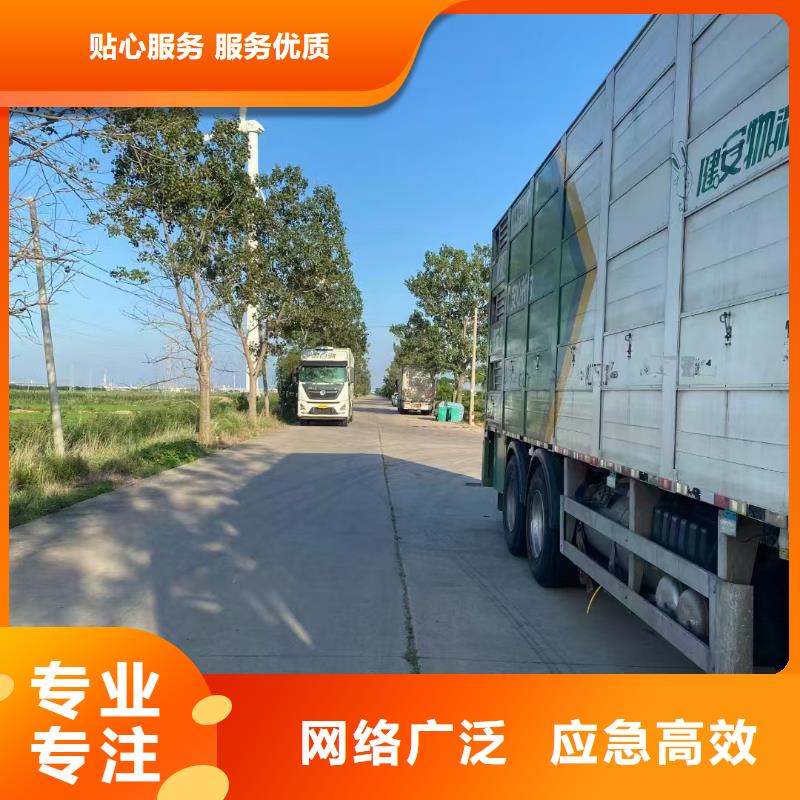 宿迁泗阳到活禽物流