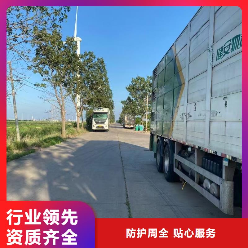 宿迁到牲畜运输品质卓越