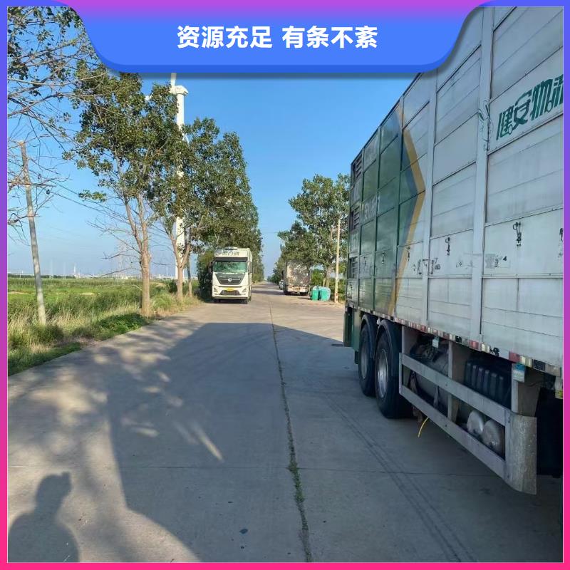 无锡到仔猪恒温车运输防护周全